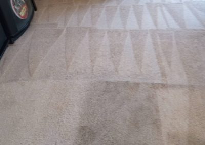 Quality Carpet Cleaning Service adv (2)