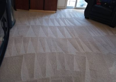 Quality Carpet Cleaning Service adv (4)