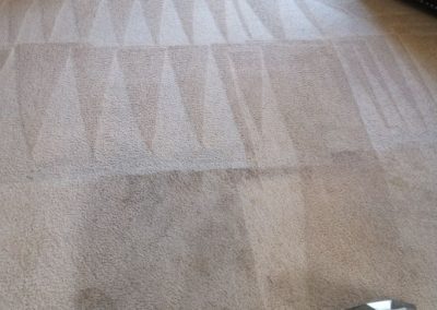 Carpet Cleaning Service adv (1)