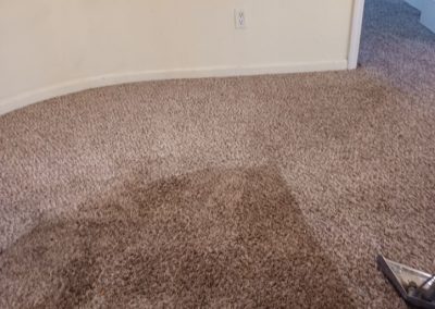 Carpet Cleaning Service adv (10)