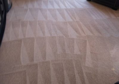 Carpet Cleaning Service adv (2)