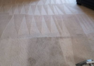 Carpet Cleaning Service adv (3)