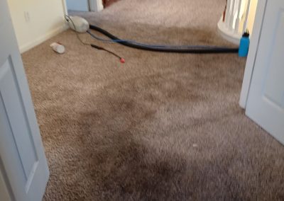 Carpet Cleaning Service adv (4)