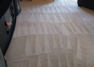 Carpet Cleaning Service adv (5)