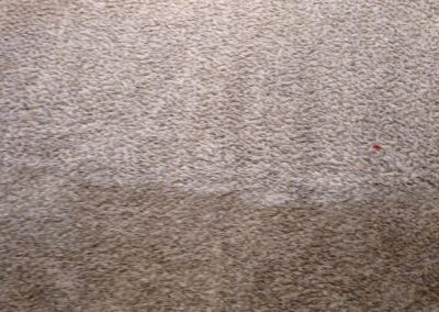 Carpet Cleaning Service adv (6)