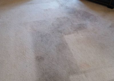 Carpet Cleaning Service adv (7)