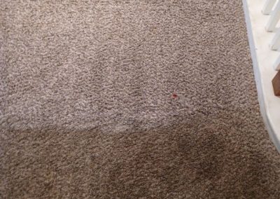 Carpet Cleaning Service adv (8)