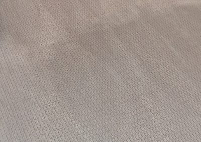 Carpet Cleaning Service