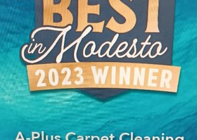 Modesto Winner
